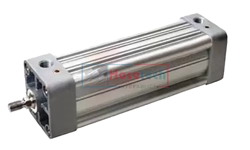 Pneumatic Cylinder