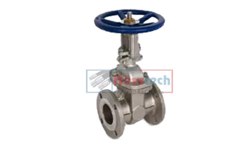 CS Gate Valve